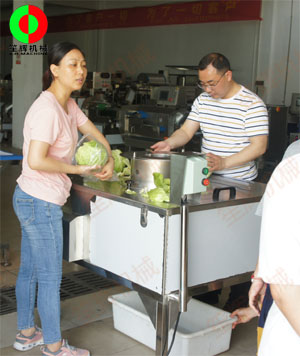 蔬果分瓣機(jī)現(xiàn)場測試，客戶滿意切割效果！