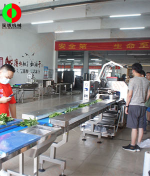 枕式蔬果包裝生產線,客戶現(xiàn)場測試驗收！